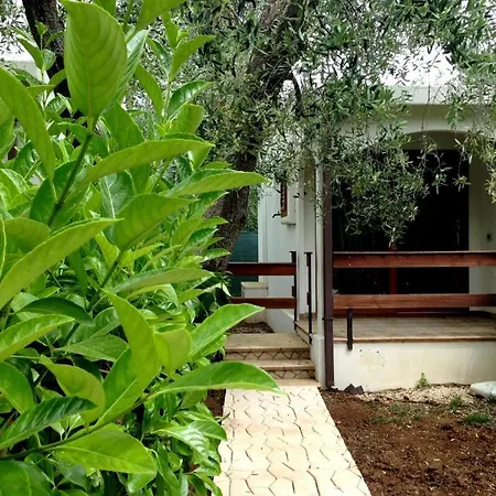 Orchidea With Swimming Pool And Private -3 別荘 *