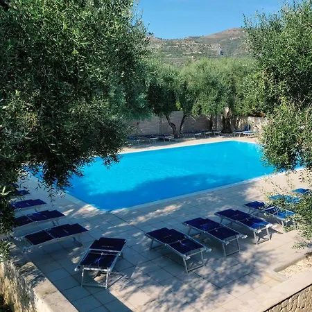 Orchidea With Swimming Pool And Private -3
