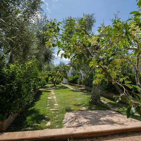 Orchidea With Swimming Pool And Private -3