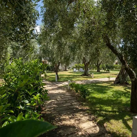 Orchidea With Swimming Pool And Private -3